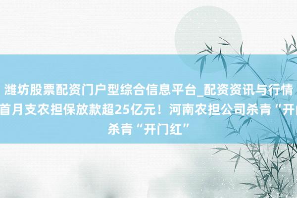 潍坊股票配资门户型综合信息平台_配资资讯与行情汇总 首月支农担保放款超25亿元！河南农担公司杀青“开门红”