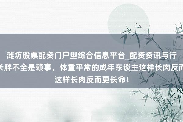 潍坊股票配资门户型综合信息平台_配资资讯与行情汇总 长胖不全是赖事，体重平常的成年东谈主这样长肉反而更长命！