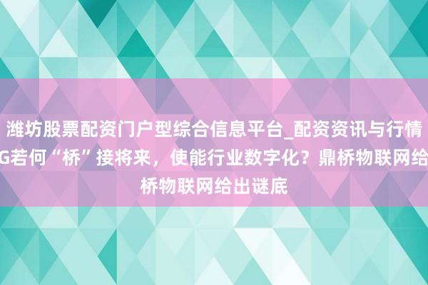 潍坊股票配资门户型综合信息平台_配资资讯与行情汇总 5G若何“桥”接将来，使能行业数字化？鼎桥物联网给出谜底